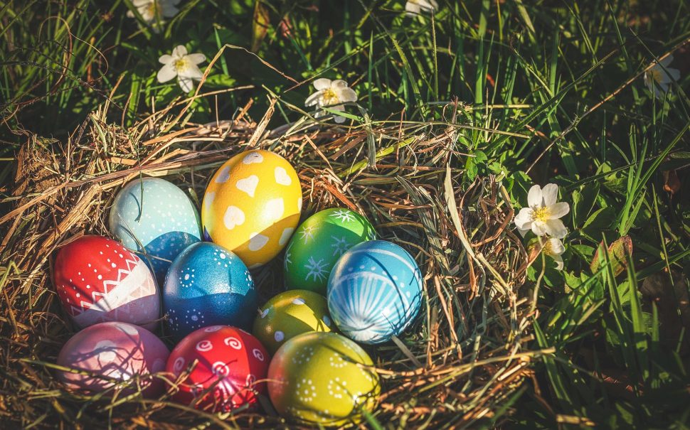 easter eggs in a nest on the ground