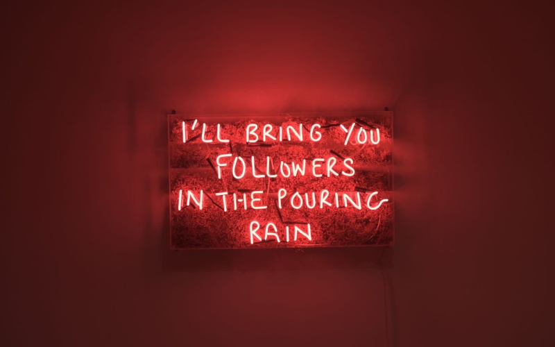 Neon artwork reading: 'I'll bring you followers in the pouring rain'