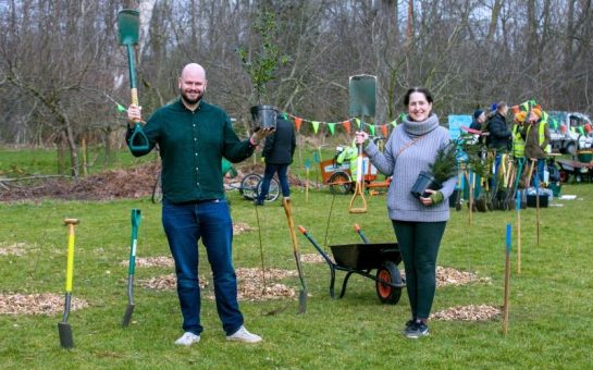 Hackney tree planters