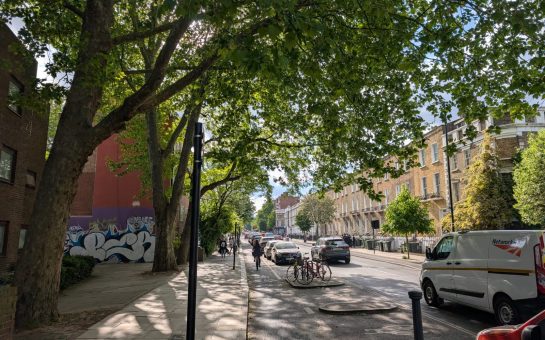 Trees lining Prince of Wales Road, Islington (Credit: Adam Termote)