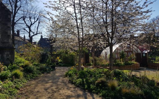 Image of the Core Arts Community Garden