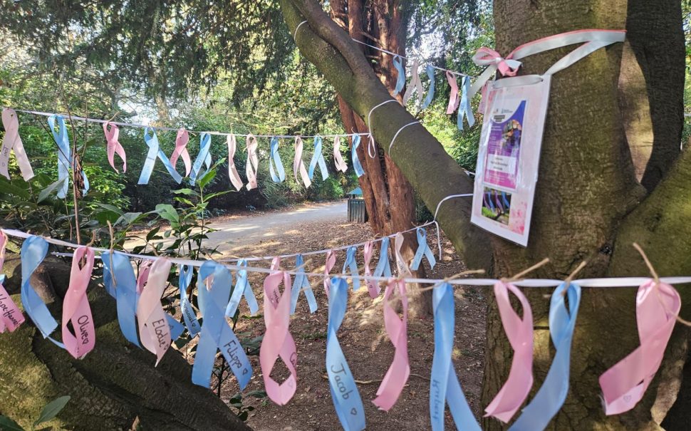 Tree showing pink and blue ribbons in memory of lost children