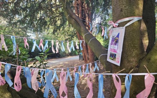 Tree showing pink and blue ribbons in memory of lost children