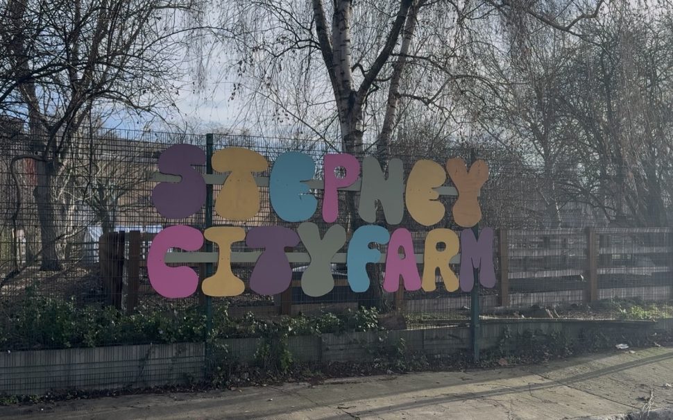 Stepney city farm provides green space to Tower Hamlets