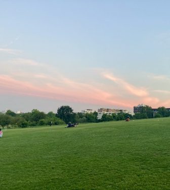 Sunset over a grassy field in London