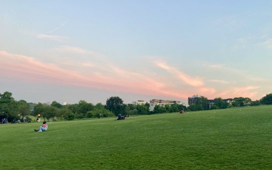 Sunset over a grassy field in London