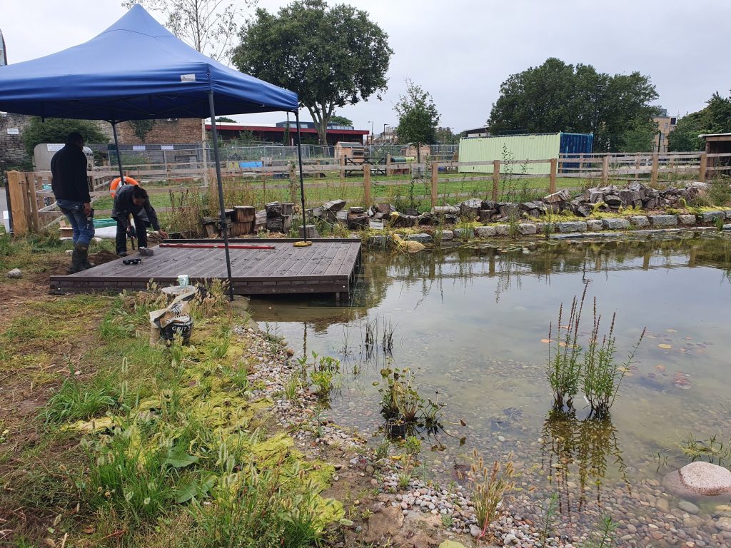Stepney City Farm pond at its maximum capacity, pictured in 2021